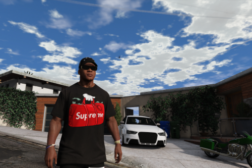 Air Jordan 13 "Bred" Supreme Money Duffle T-shirt